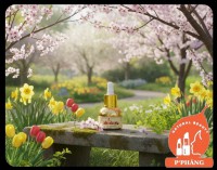 SERUM DẦU GẤC P’PHĂNG – BÍ QUYẾT XÓA MỜ ĐỐM NÂU CHO LÀN DA RẠNG RỠ ĐÓN GIÁNG SINH