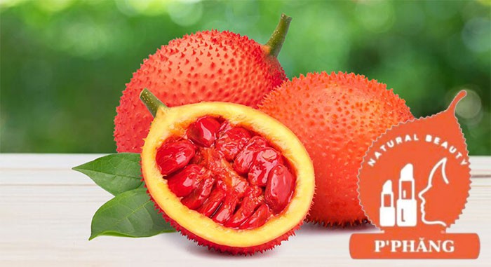 GẤC - SIÊU THỰC PHẨM CHO LÀN DA KHÔNG TUỔI VÀ VAI TRÒ CỦA NỮ HOÀNG GẤC P’PHĂNG